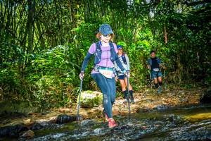 BIB: 130, 
                            <button type="button" onclick="openModal(21770768)" class="btn btn-primary btn-sm float-right btn-popup" data-toggle="modal" data-target=".modal-high-quality">
                        <i class="fas fa-shopping-cart"></i> Add to Cart
                    </button>
                                            <button type="button" onclick="isThisMe(21770768, true)" class="btn btn-success btn-sm float-right btn-popup btn-isme hidden" data-toggle="tooltip" data-placement="bottom" title="นี่คือรูปของคุณใช่ไหม คลิกที่นี่เพื่อเอาเข้าอัลบั้ม">
                        <i class="fas fa-plus"></i> Add to album
                    </button>
                    <button type="button" onclick="isThisMe(21770768, false)" class="btn btn-warning btn-sm float-right btn-popup btn-isnotme hidden">
                        <i class="fas fa-ban"></i> Remove from album
                    </button>